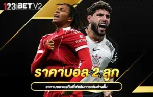 ปกราคาบอล-2-ลูก